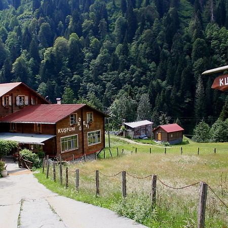 Kuspuni Dag Evi Vila Çamlıhemşin Exterior foto