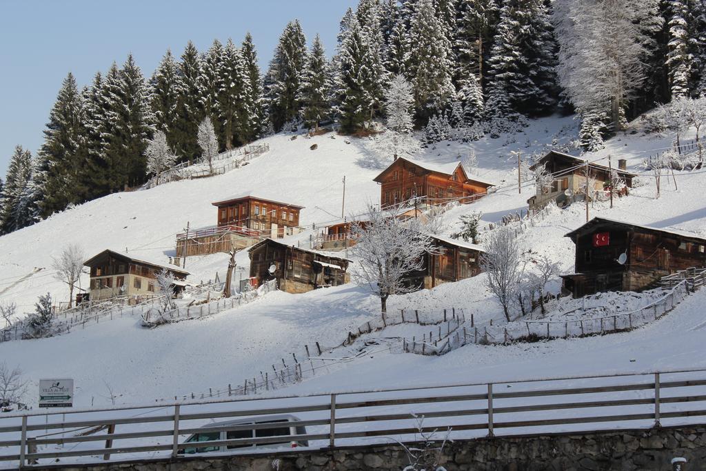 Kuspuni Dag Evi Vila Çamlıhemşin Exterior foto